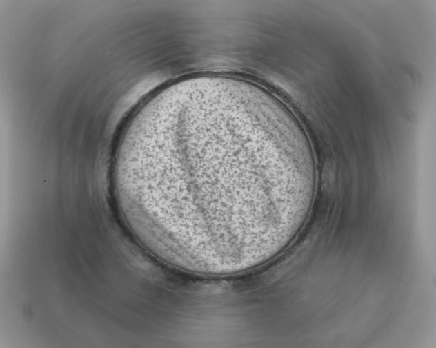 X0000114521410200911091141