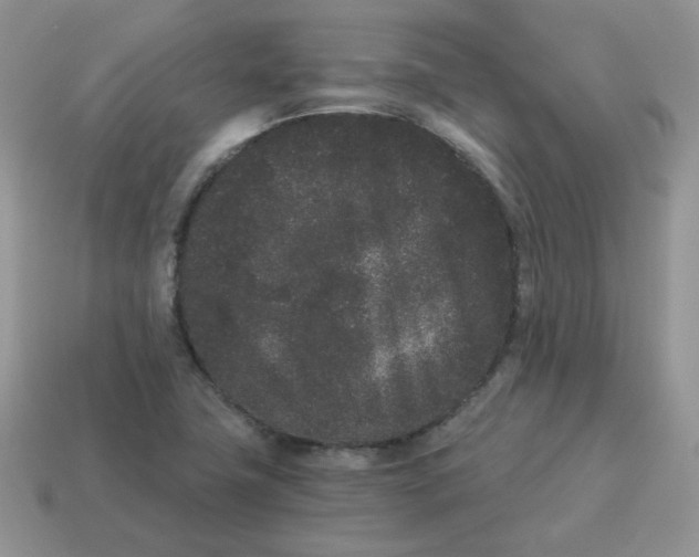 X0000114521411200911091141