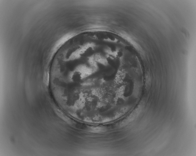 X0000114521413200911091141