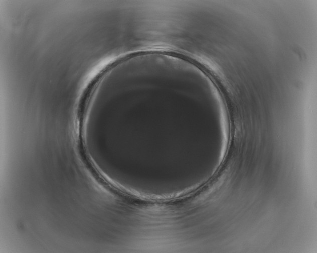 X0000114521414200911091141