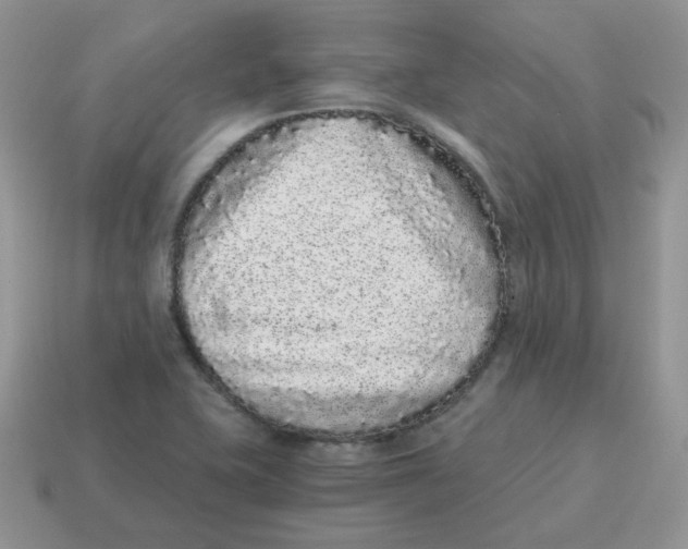 X0000114521415200911091141