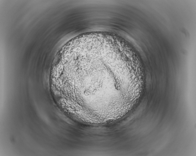 X0000114521417200911091141