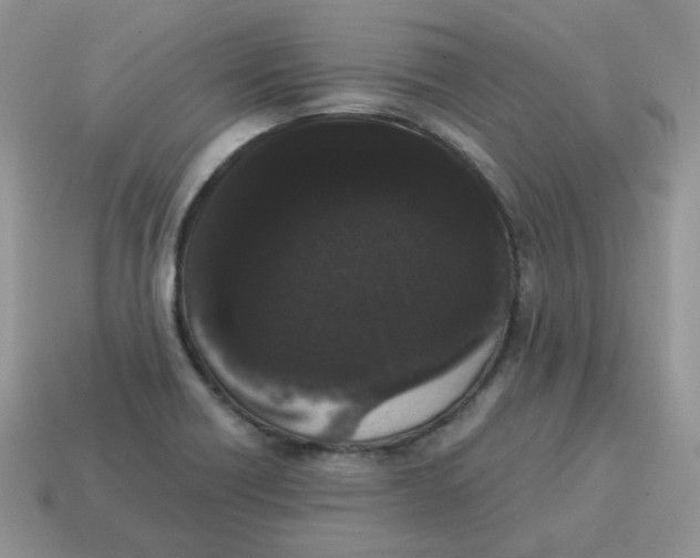 X0000114521418200911091141