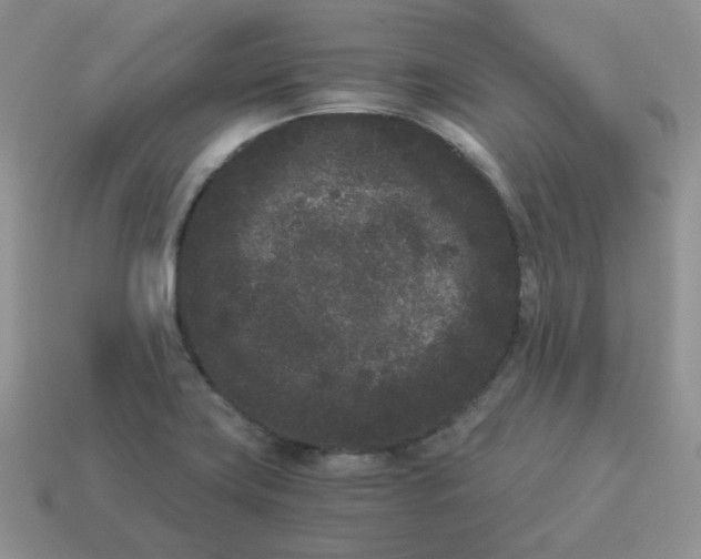 X0000114521419200911091141