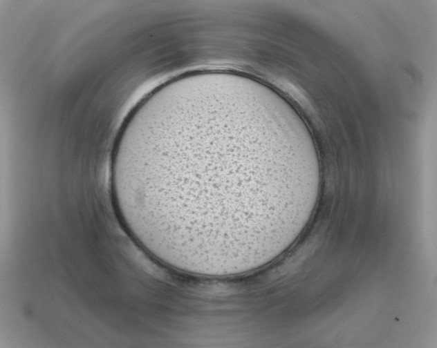 X0000114521420200911091141