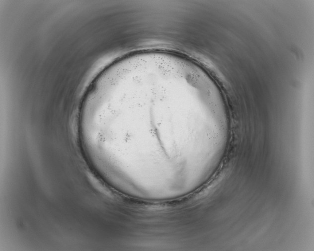 X0000114521421200911091141