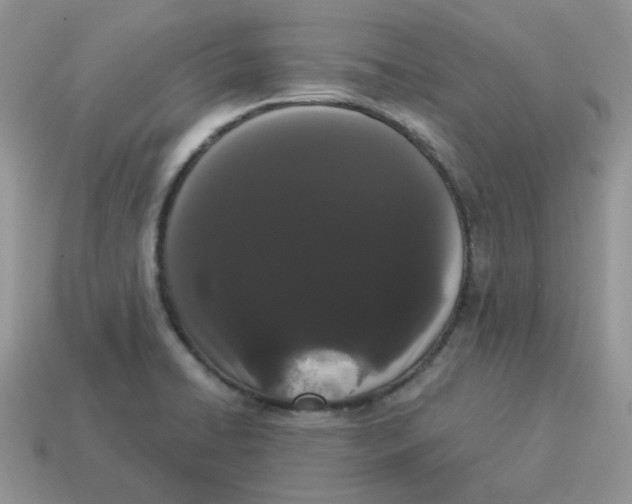 X0000114521422200911091141