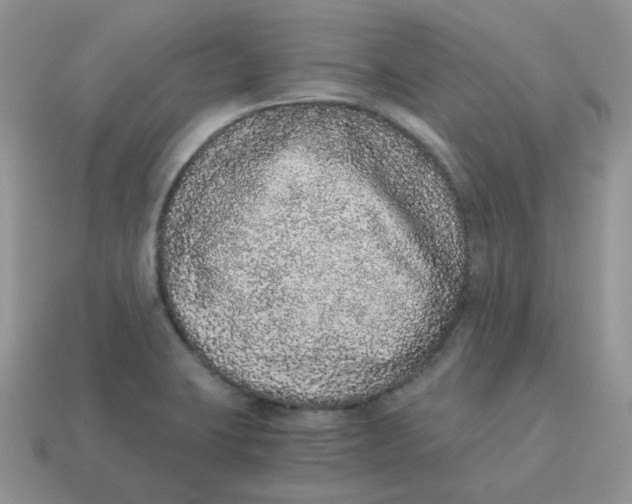 X0000114521423200911091141