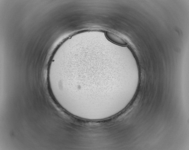 X0000114521424200911091141