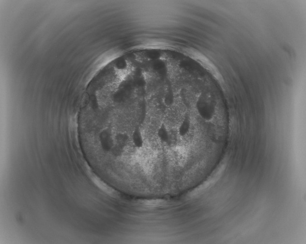 X0000114521425200911091141