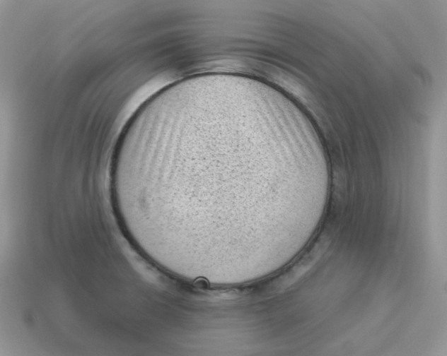 X0000114521426200911091141