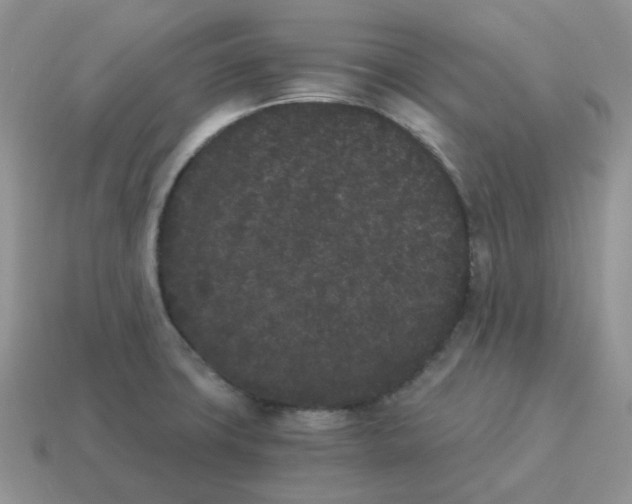 X0000114521427200911091141