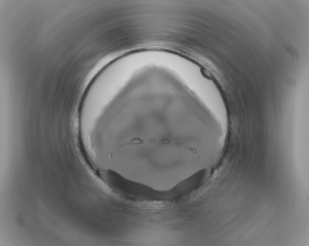 X0000114521428200911091141