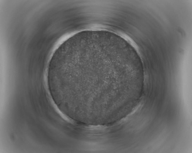 X0000114521429200911091141