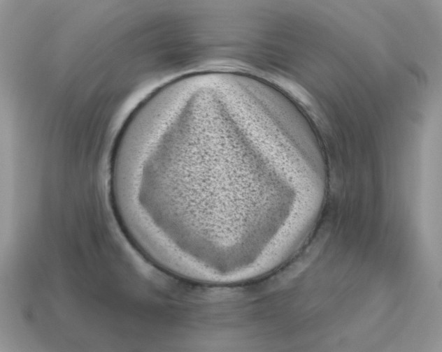 X0000114521430200911091141