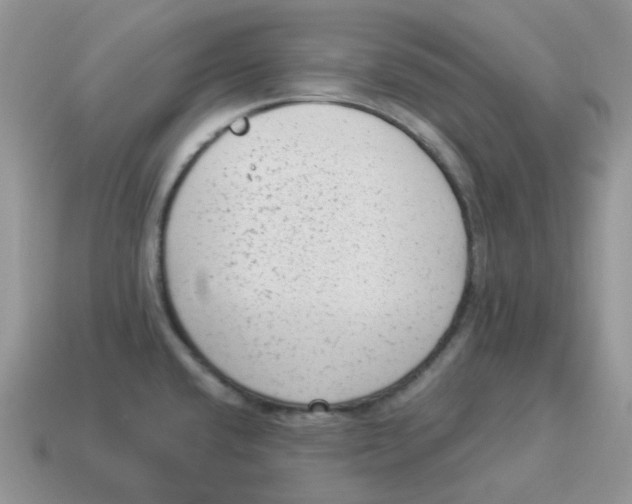 X0000114521432200911091141