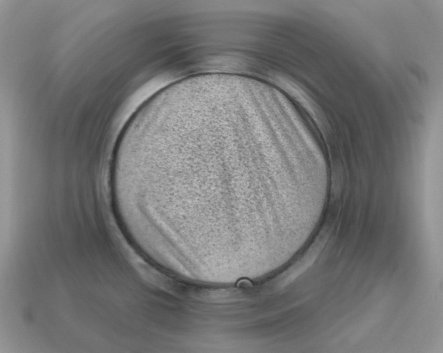 X0000114521434200911091141