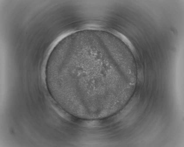 X0000114521435200911091141