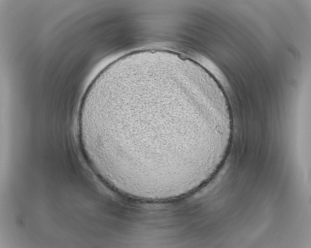 X0000114521436200911091141