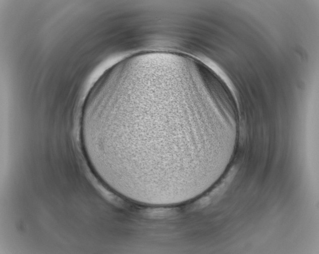 X0000114521437200911091141