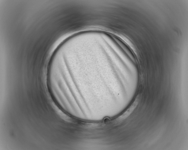 X0000114521438200911091141