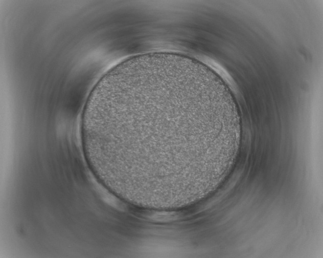 X0000114521439200911091141