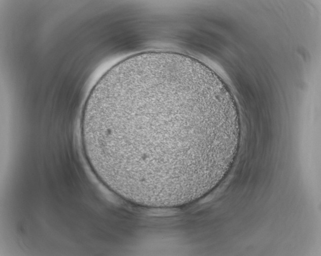 X0000114521440200911091141