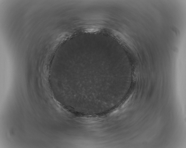 X0000114521441200911091141