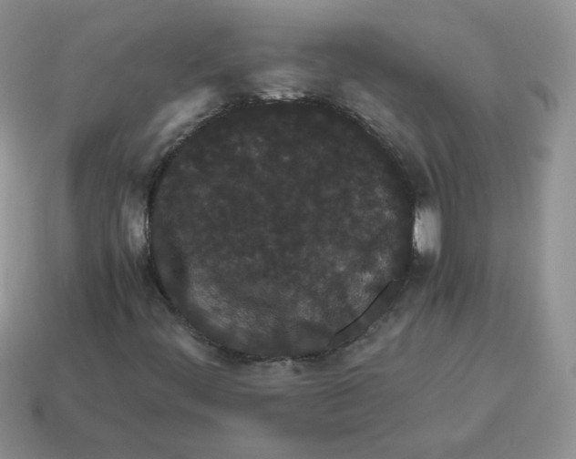 X0000114521444200911091141