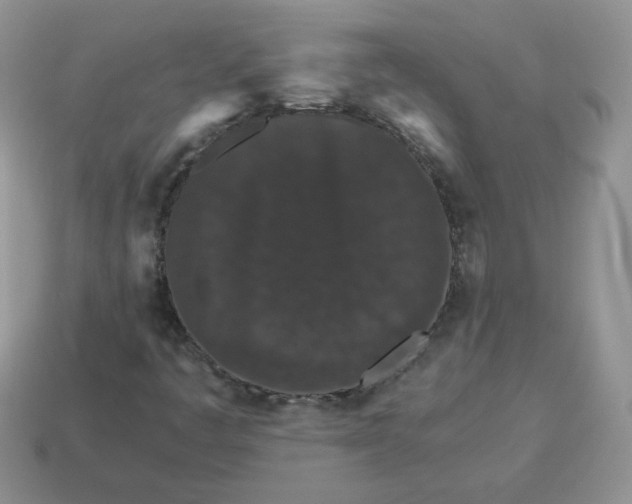 X0000114521445200911091141