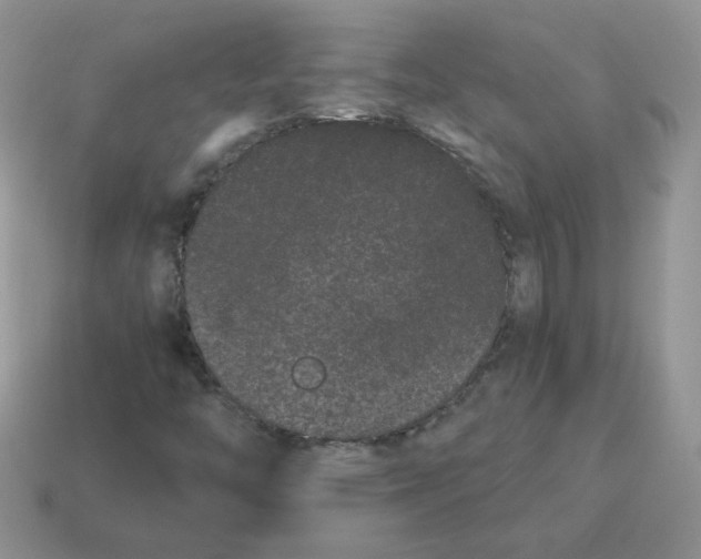 X0000114521446200911091141