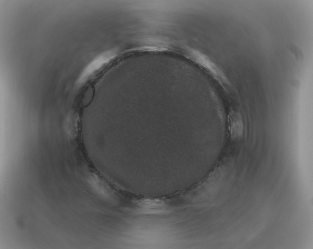 X0000114521448200911091140