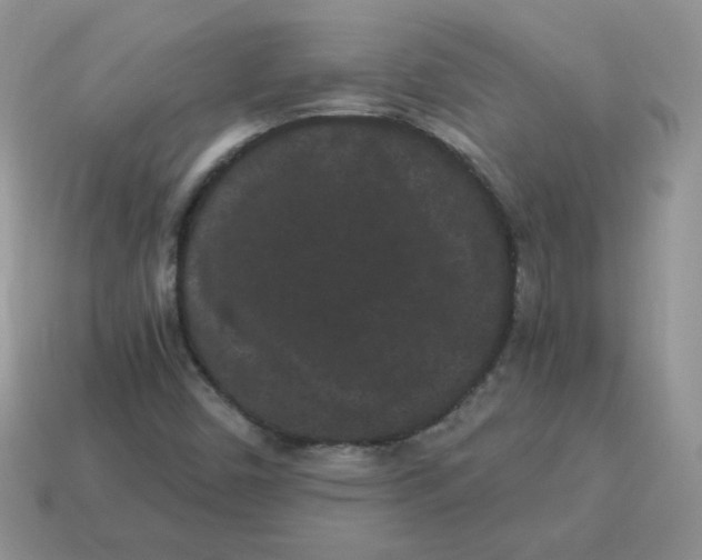 X0000114521450200911091140