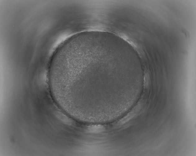 X0000114521454200911091140