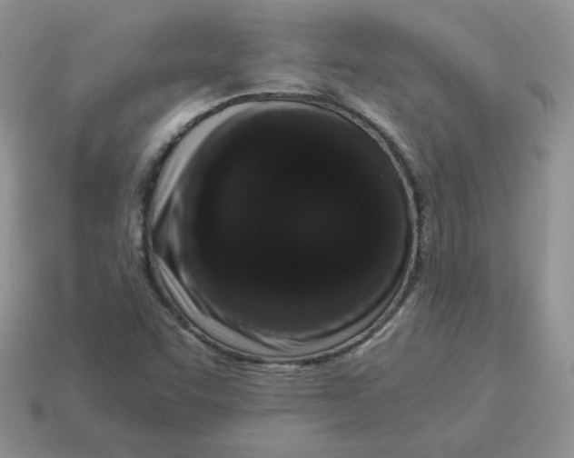 X0000114521455200911091140