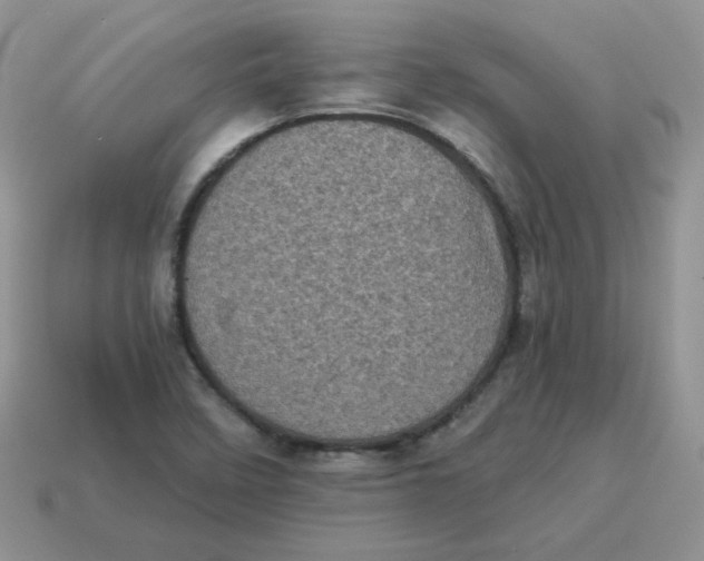 X0000114521458200911091140