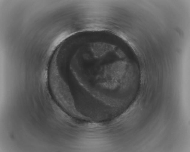 X0000114521459200911091140