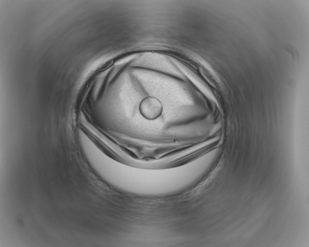 X0000114521461200911091140