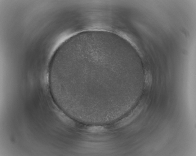 X0000114521462200911091140