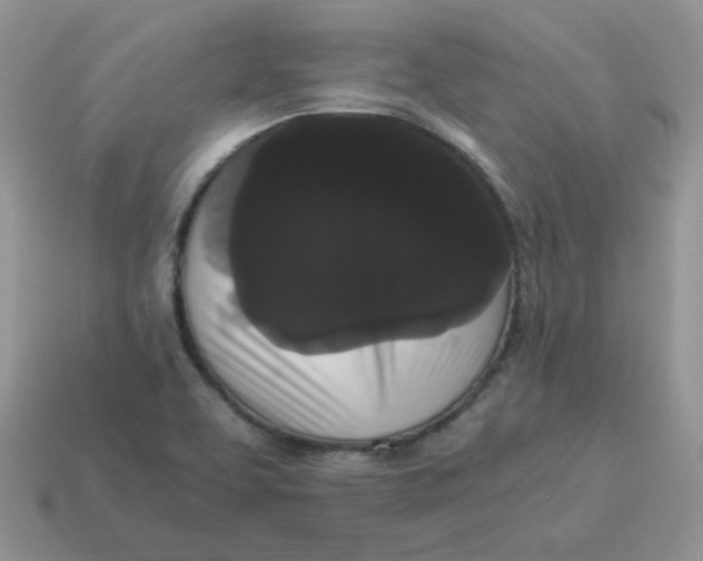 X0000114521463200911091140