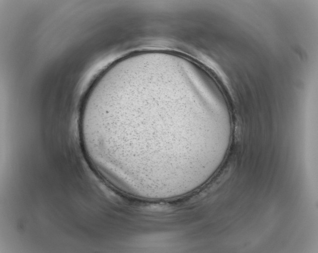 X0000114521464200911091140