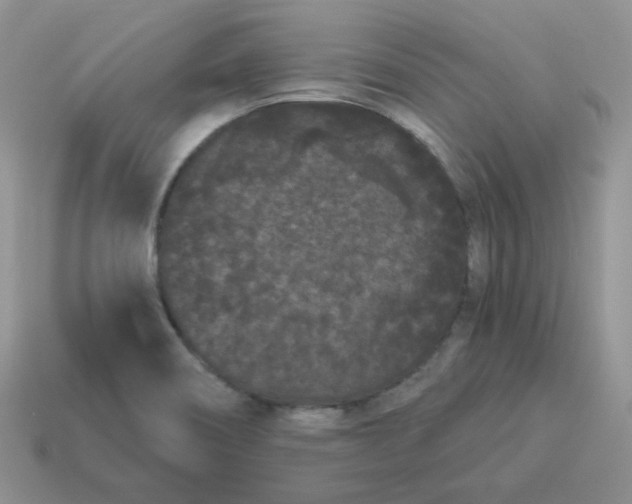 X0000114521466200911091140