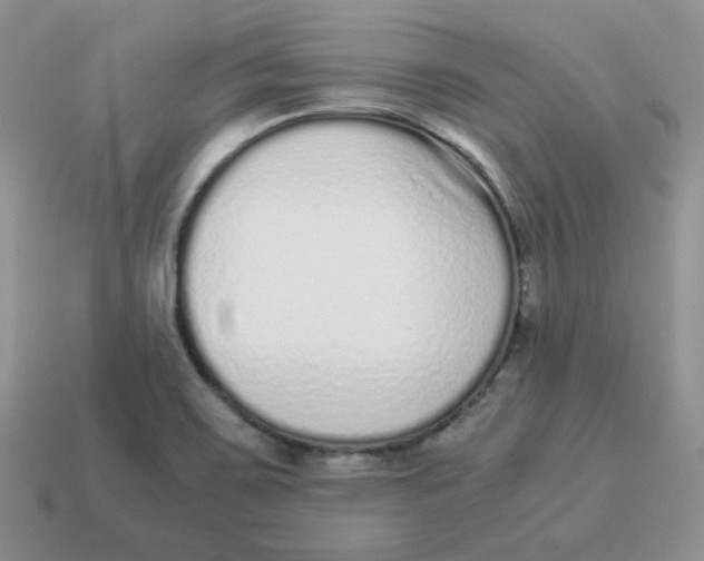 X0000114521467200911091140