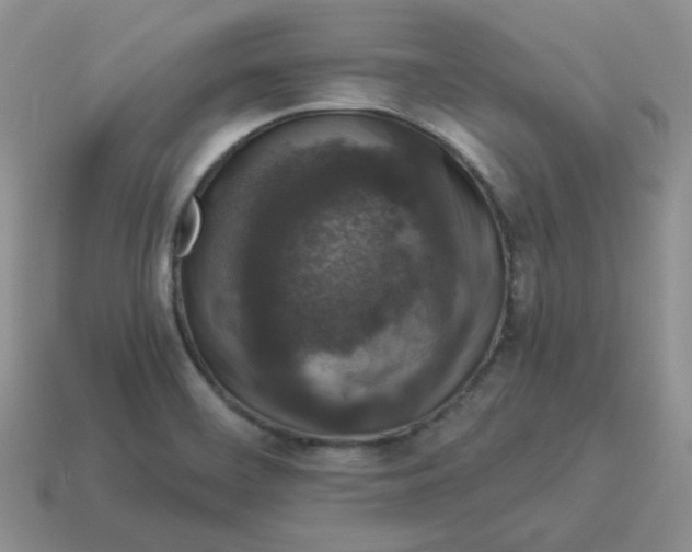 X0000114521468200911091140