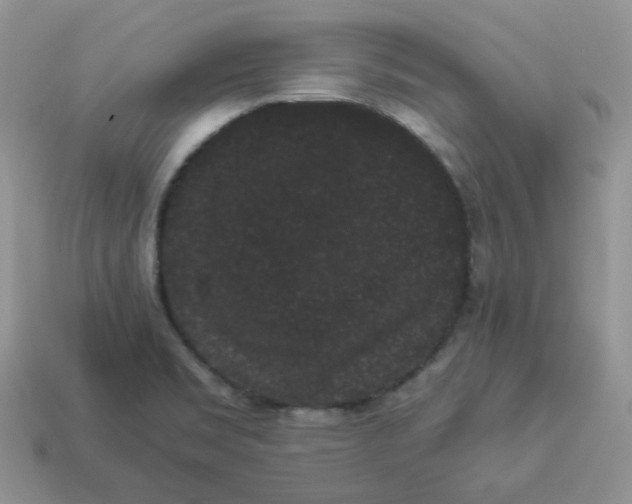 X0000114521469200911091140