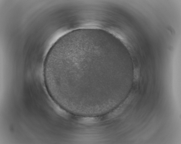 X0000114521470200911091140