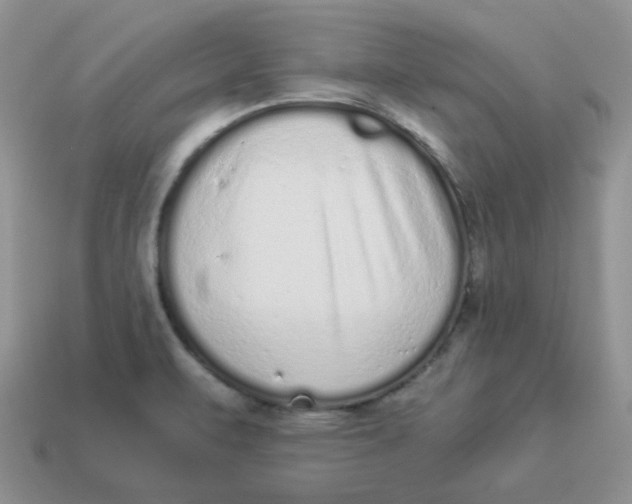 X0000114521471200911091140