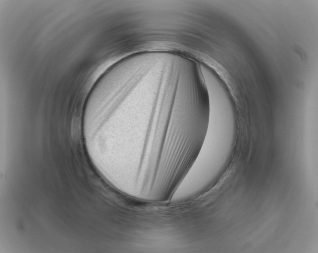 X0000114521473200911091140