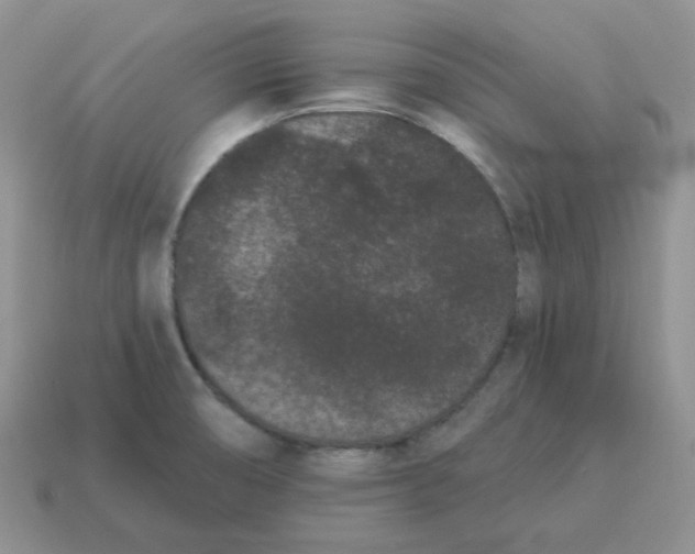 X0000114521474200911091140