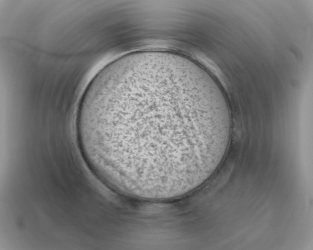 X0000114521475200911091140